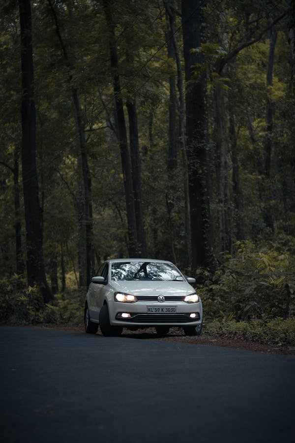 Location voiture : choix varié pour tous vos voyages !